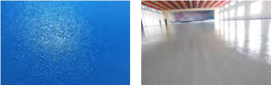 Sơn phủ epoxy mặt nhám