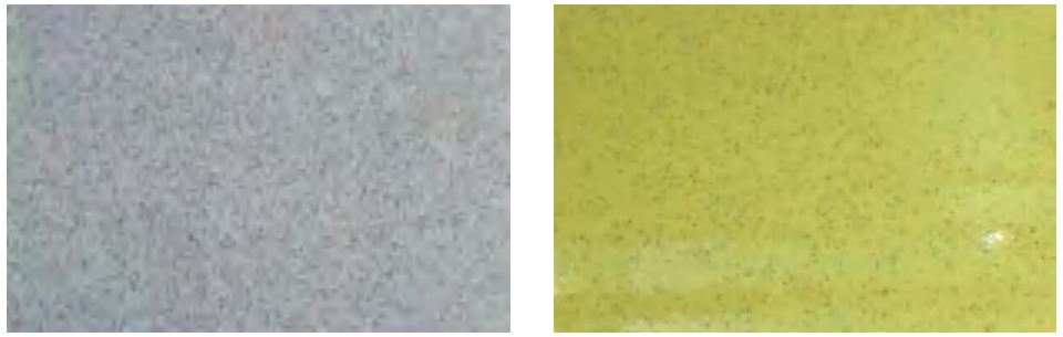 Sơn phủ epoxy cát màu tự san phẳng nền sàn 01